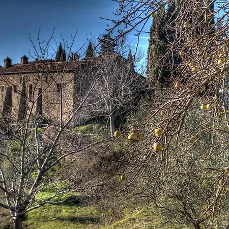 Agriturismo Di Novole * 哥尔顿