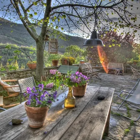 Agriturismo Di Novole * 哥尔顿