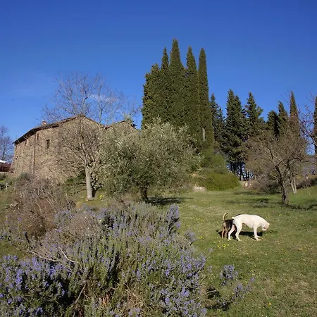 Agriturismo Di Novole
