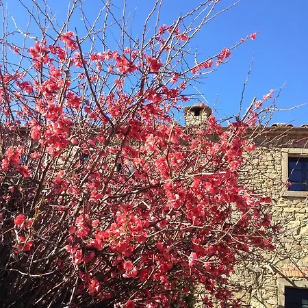 Agriturismo Di Novole 农家乐 *