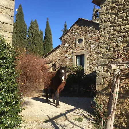 Agriturismo Di Novole *