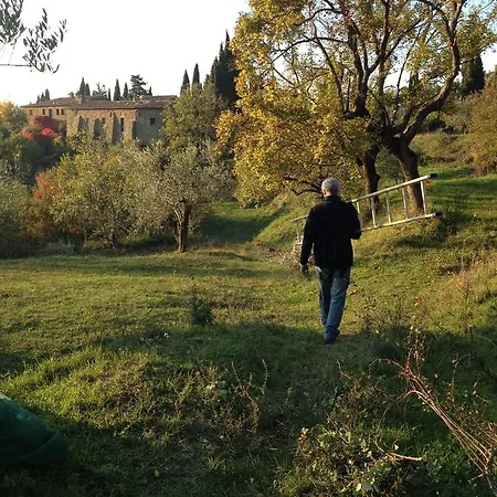 Agriturismo Di Novole 农家乐