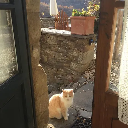 Agriturismo Di Novole 农家乐 *