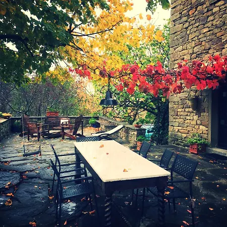 Agriturismo Di Novole 农家乐 *