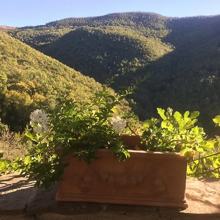 Agriturismo Di Novole *