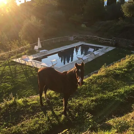 农家乐 Agriturismo Di Novole