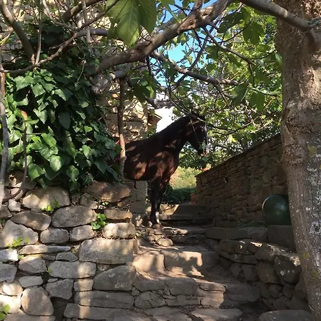 Agriturismo Di Novole