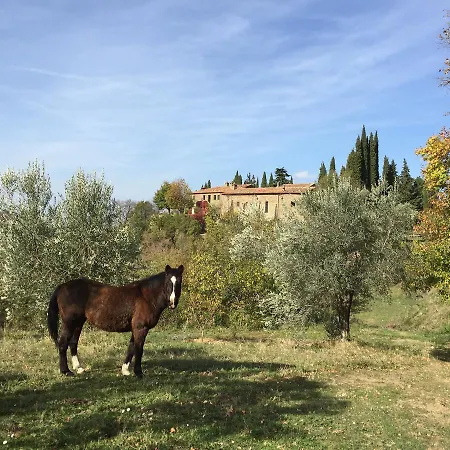 Agriturismo Di Novole