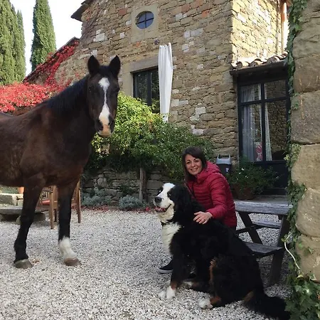 农家乐 Agriturismo Di Novole *