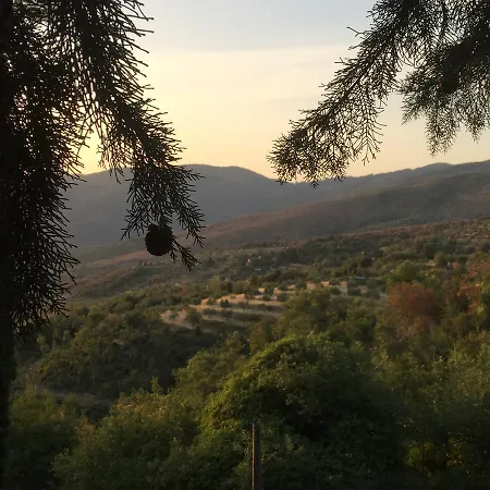Agriturismo Di Novole 农家乐 *