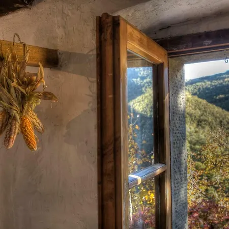 Agriturismo Di Novole